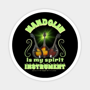 Music instruments are my spirit, mandolin. Magnet